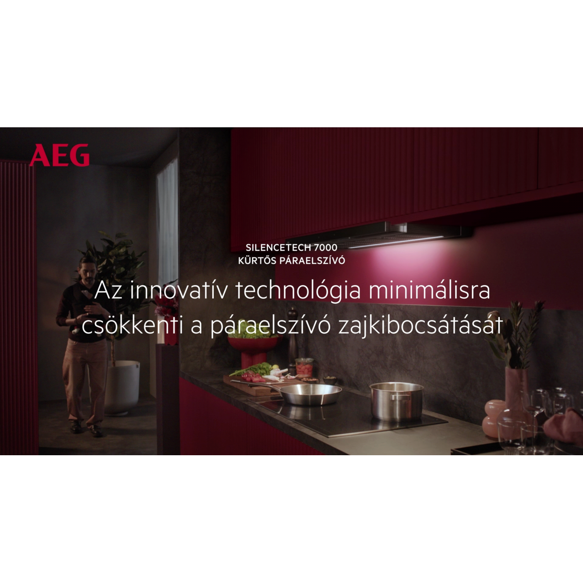 AEG - Rejtett páraelszívó - GDP866PB