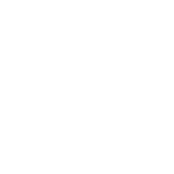 SoftOpening