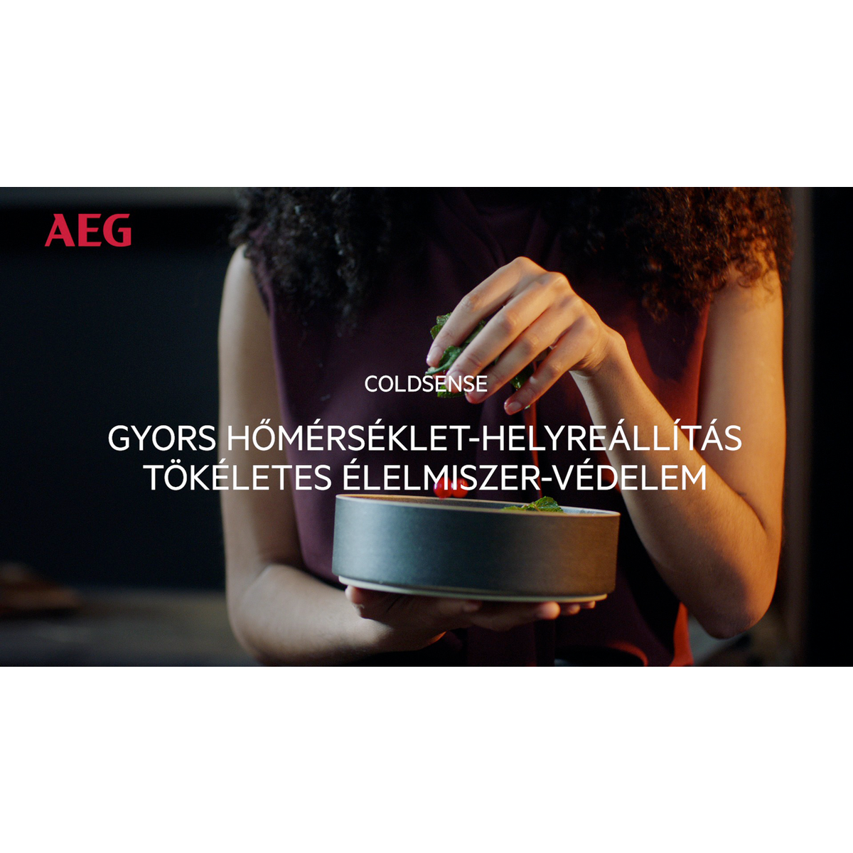 AEG - Beépíthető hűtő-fagyasztó - OSC5D181ES