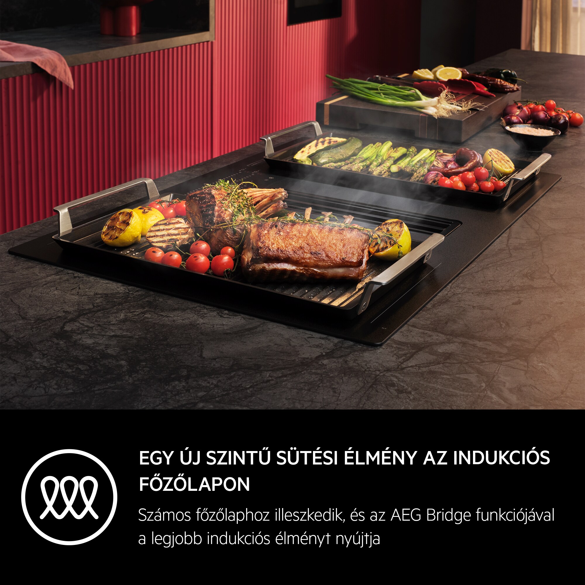 AEG - Plancha grill - A9HHPG11