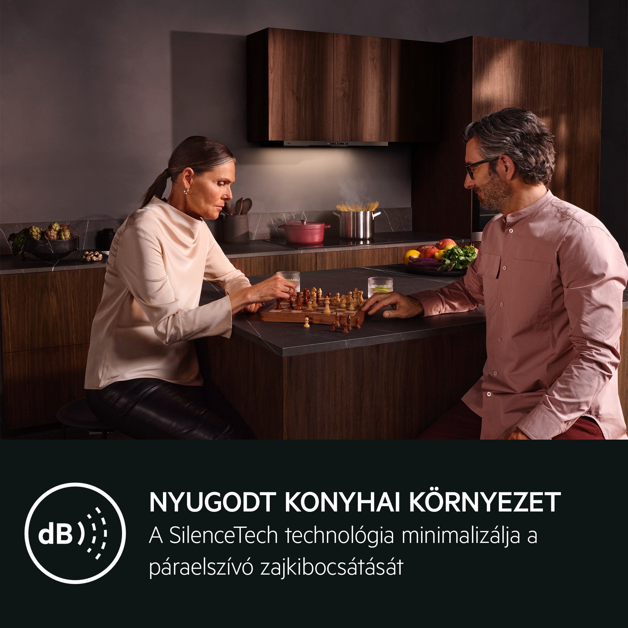 AEG - Fekete páraelszívó - GDP869PB
