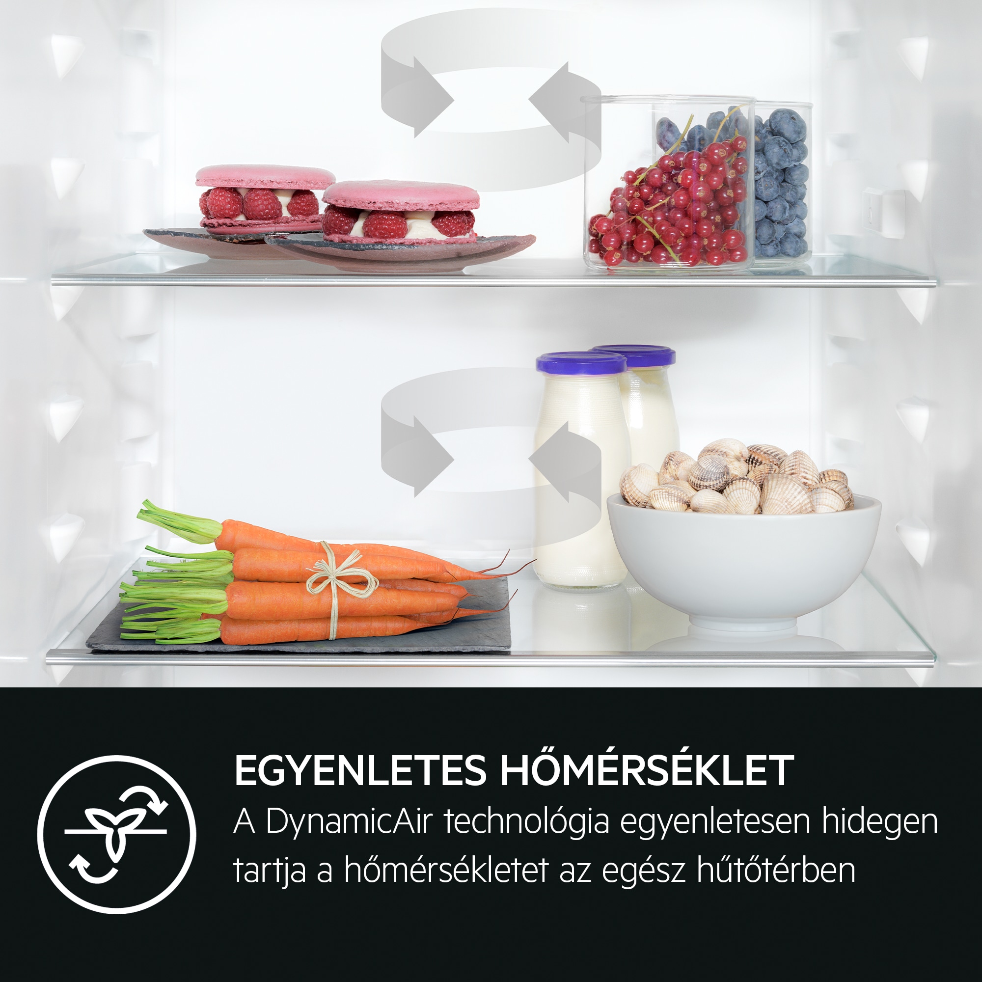 AEG - Beépíthető hűtő-fagyasztó - SCE818E8TS