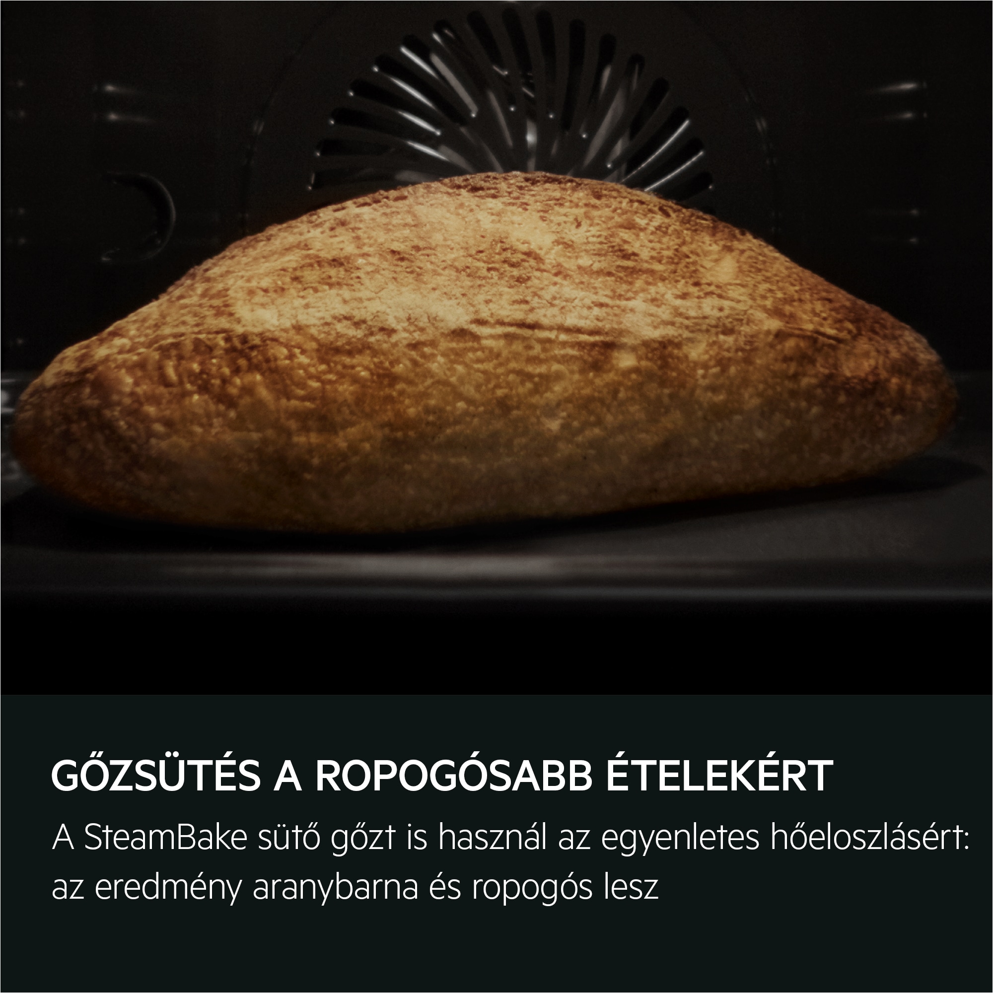 AEG - Hagyományos és gőzsütők - OA5CB31SM