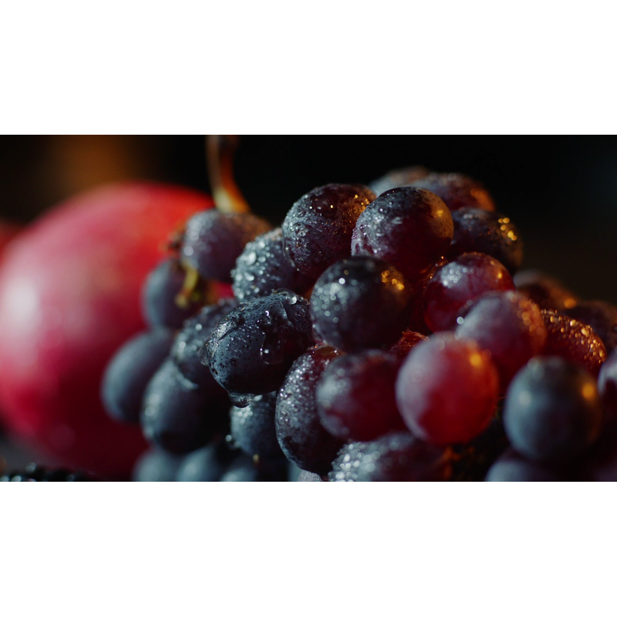 AEG - Beépíthető hűtő-fagyasztó - SCB819E8TS