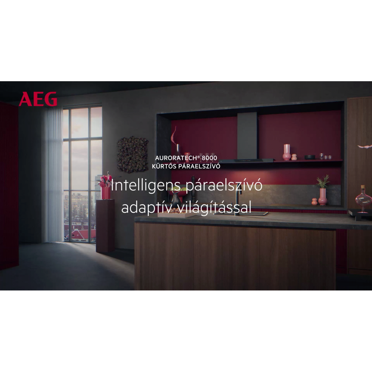 AEG - Fekete páraelszívó - GI87D91CB