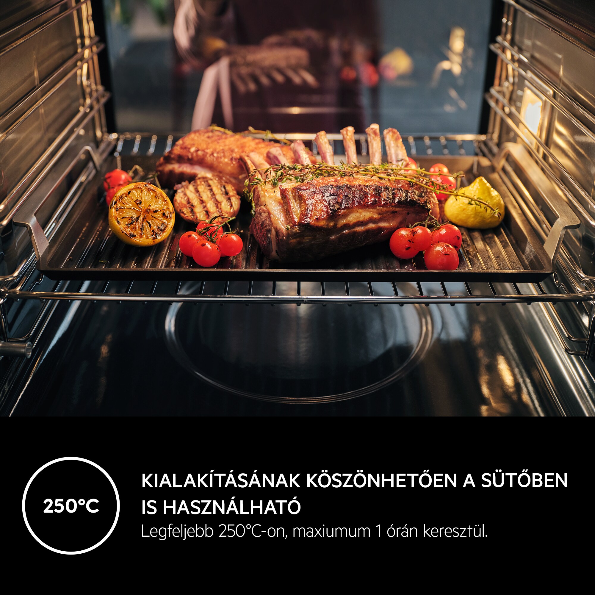 AEG - Plancha grill - A9HHPG11