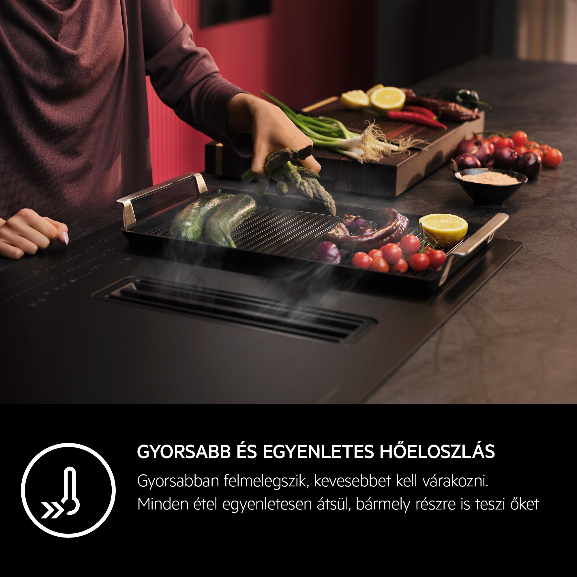 AEG - Plancha grill - A9HHPG11
