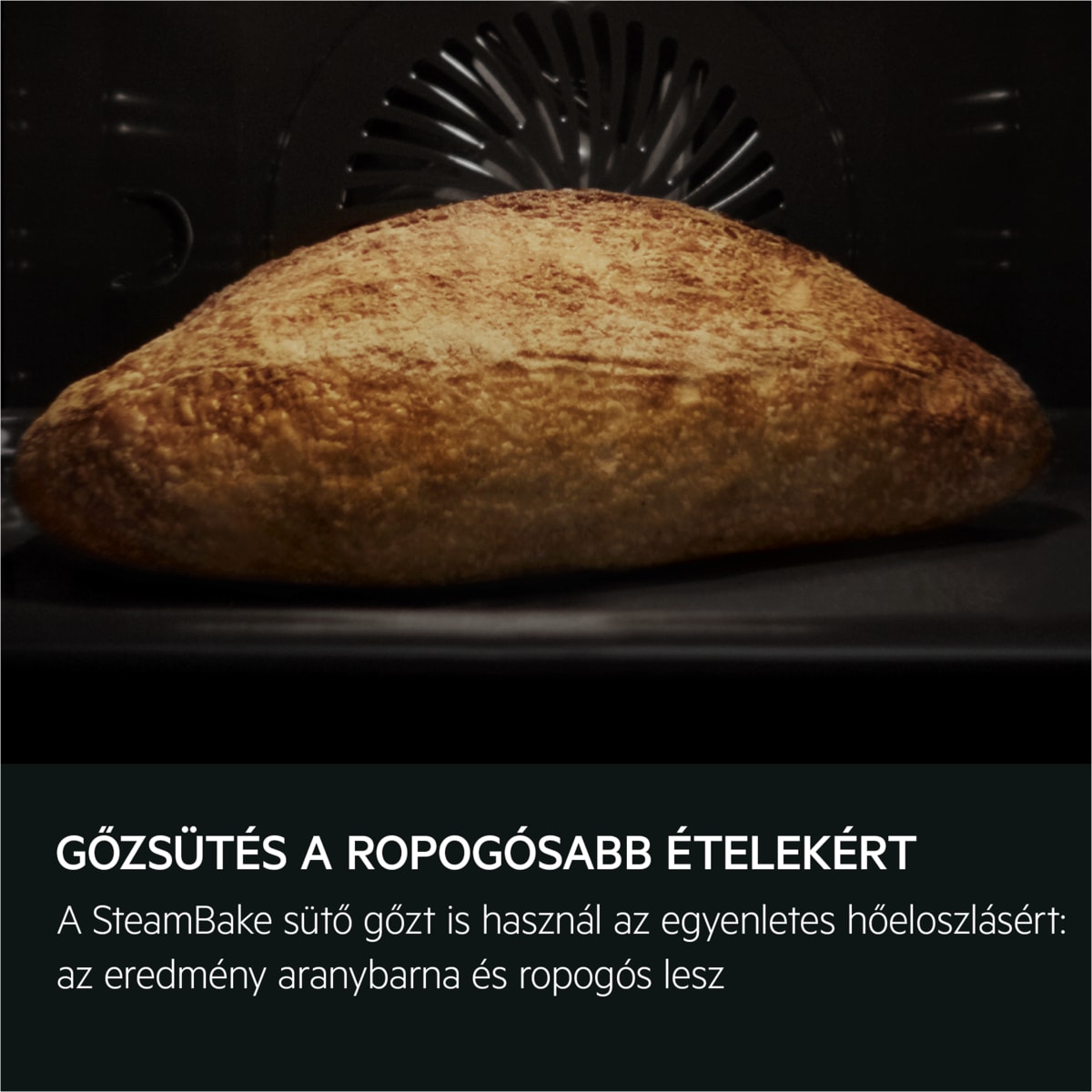 AEG - Hagyományos és gőzsütők - OA5CB31SM
