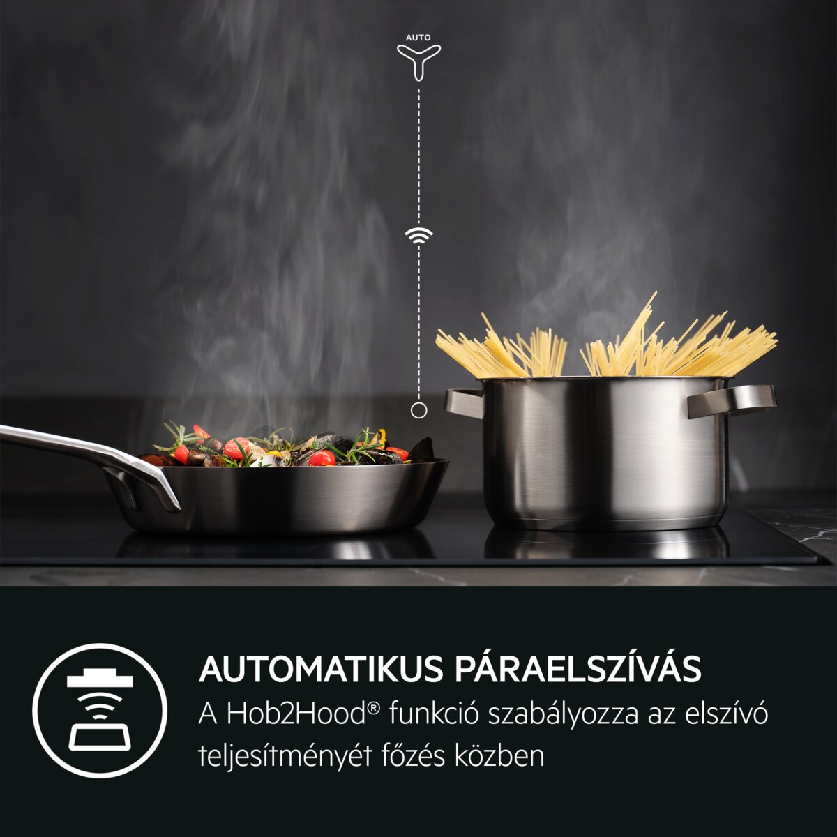 AEG - Fekete páraelszívó - GDP869PB