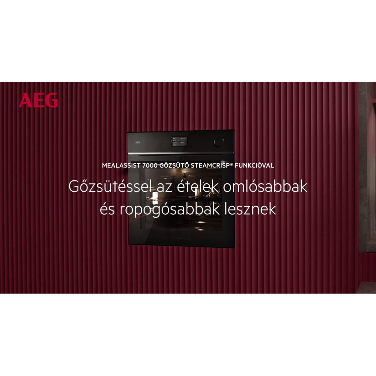 AEG - Gőzsütő - NBR7P731ST