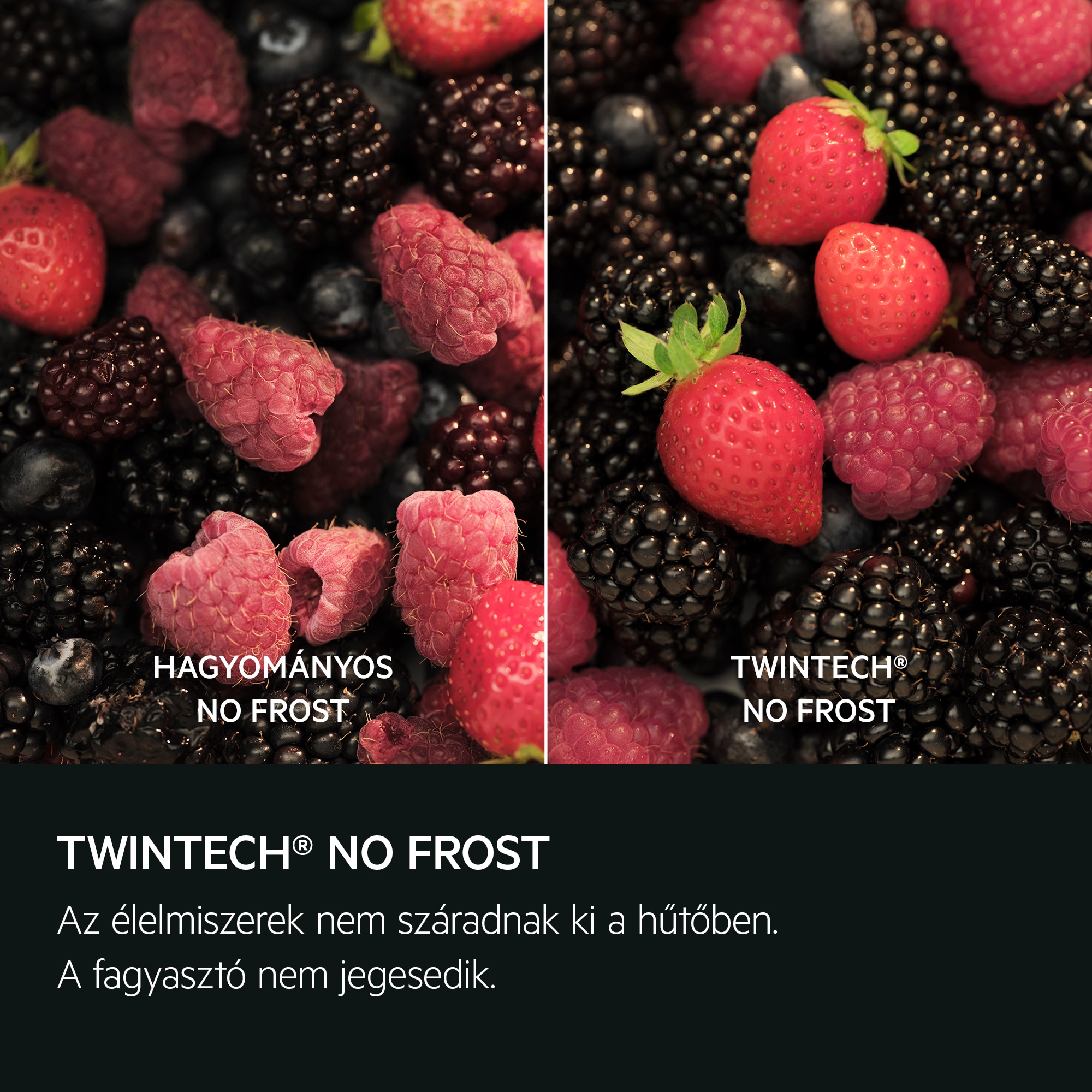 TWINTECH® NO FROST Az élelmiszerek nem száradnak ki a hűtőben. A fagyasztó nem jegesedik Hagyományos No Frost TwinTech® No Frost