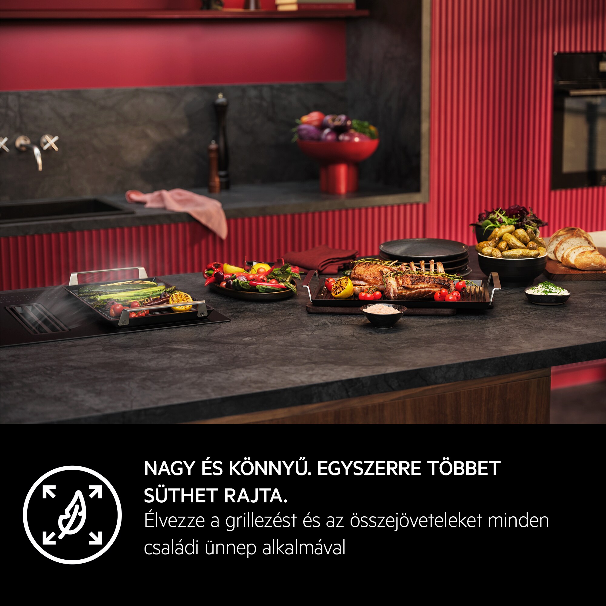 AEG - Plancha grill - A9HHPG11