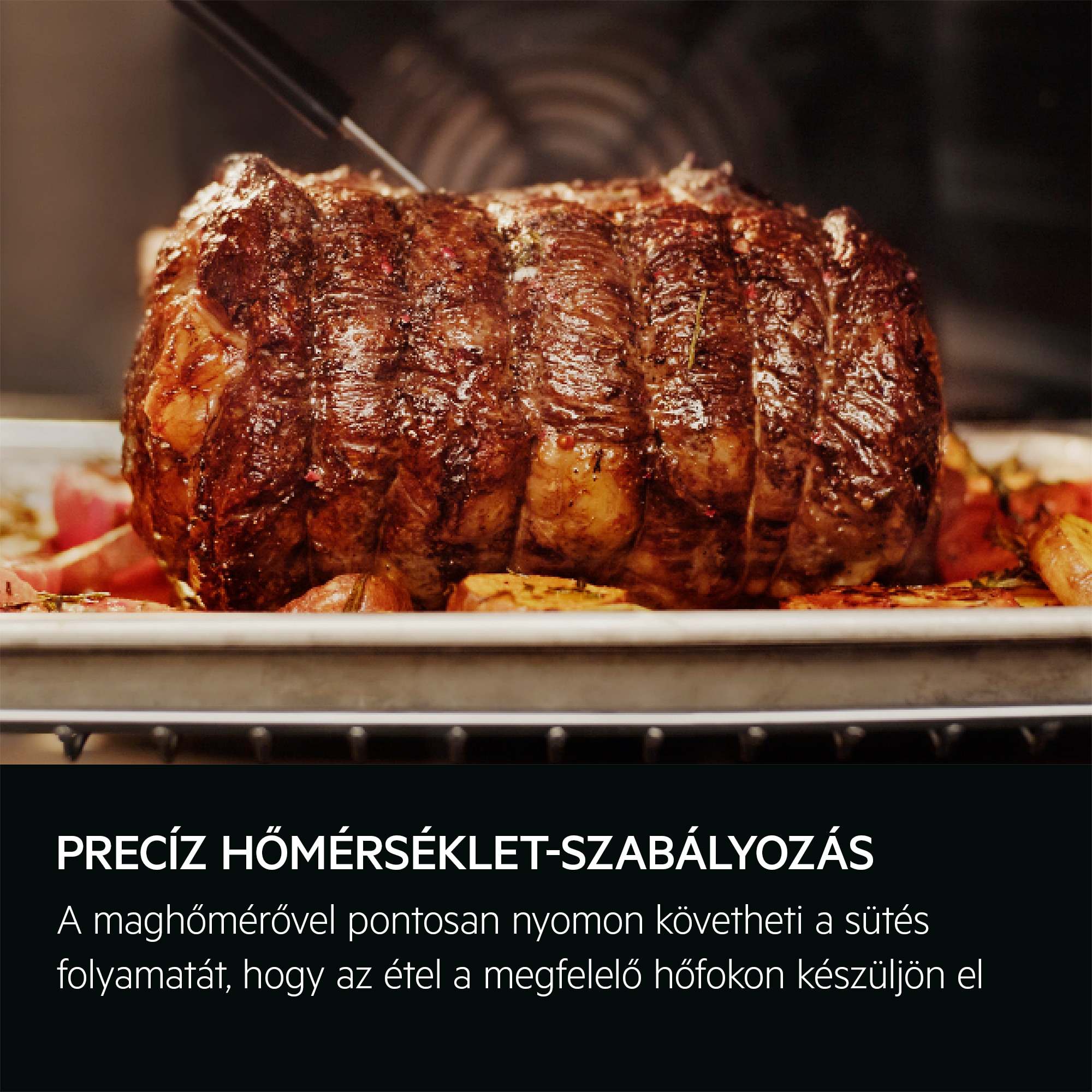 AEG - Hagyományos és gőzsütők - OA5CB31SM