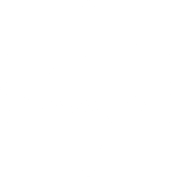 SenseFry®