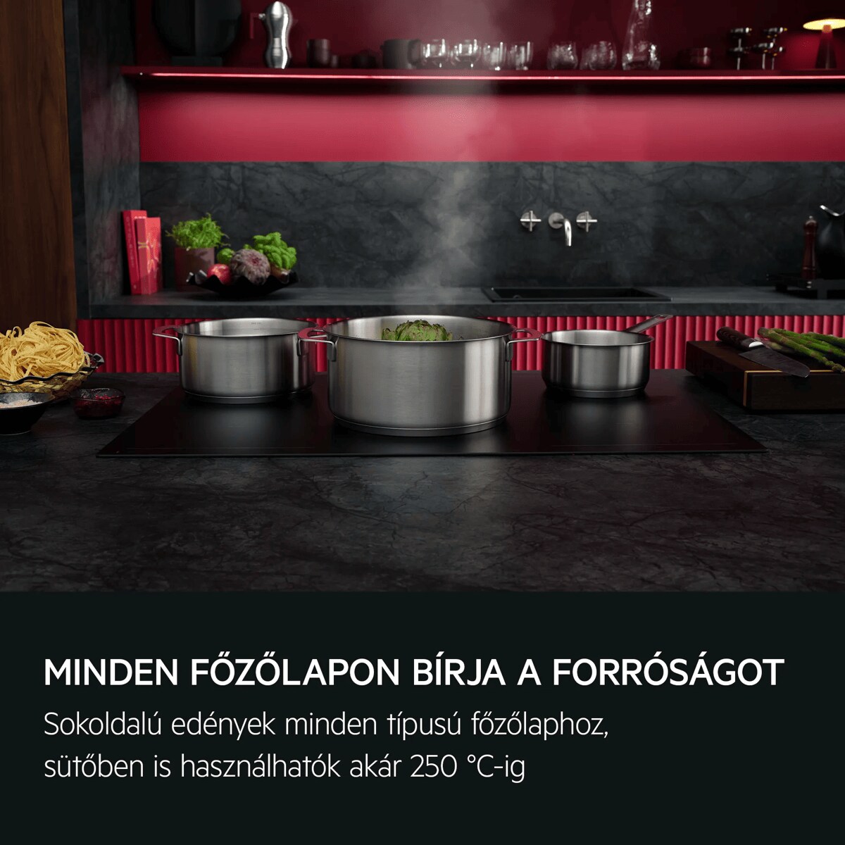 Minden főzőlapon bírja a forróságot Sokoldalú edények minden típusú főzőlaphoz, sütőben is használhatók akár 250 °C-ig