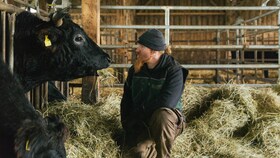 Ludwig Maurer hús séf és egy wagyu marha
